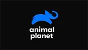 Animal Planet Ao Vivo