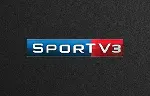 SporTV 3 Ao Vivo