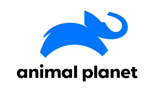 Animal Planet ao vivo Detran TV