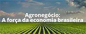 Agronegócio Brasil