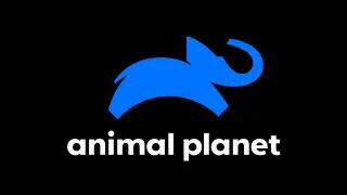 Animal Planet online